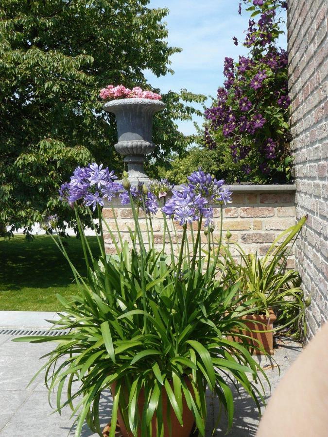 B&B Casabelle Boekhoute Exterior photo